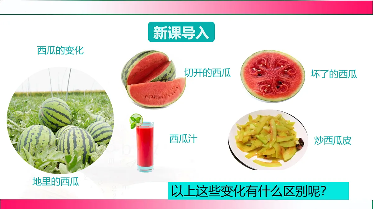 17810799第5页
