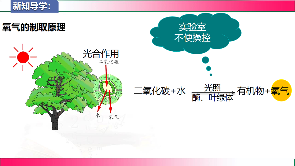 17810807第4页