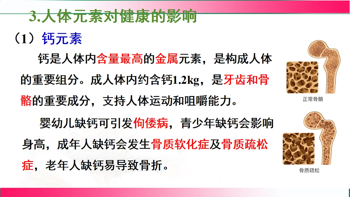 17810848第6页