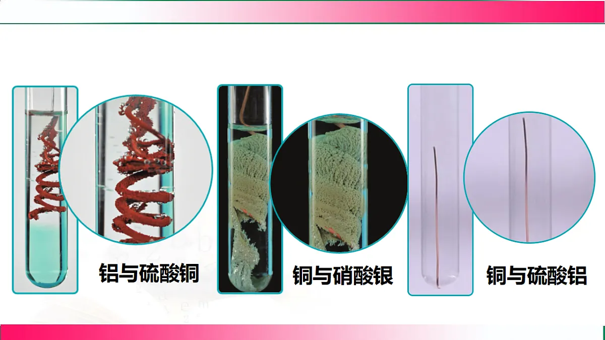 17810871第6页