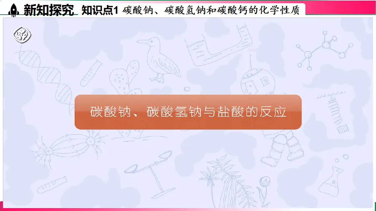 17810881第5页
