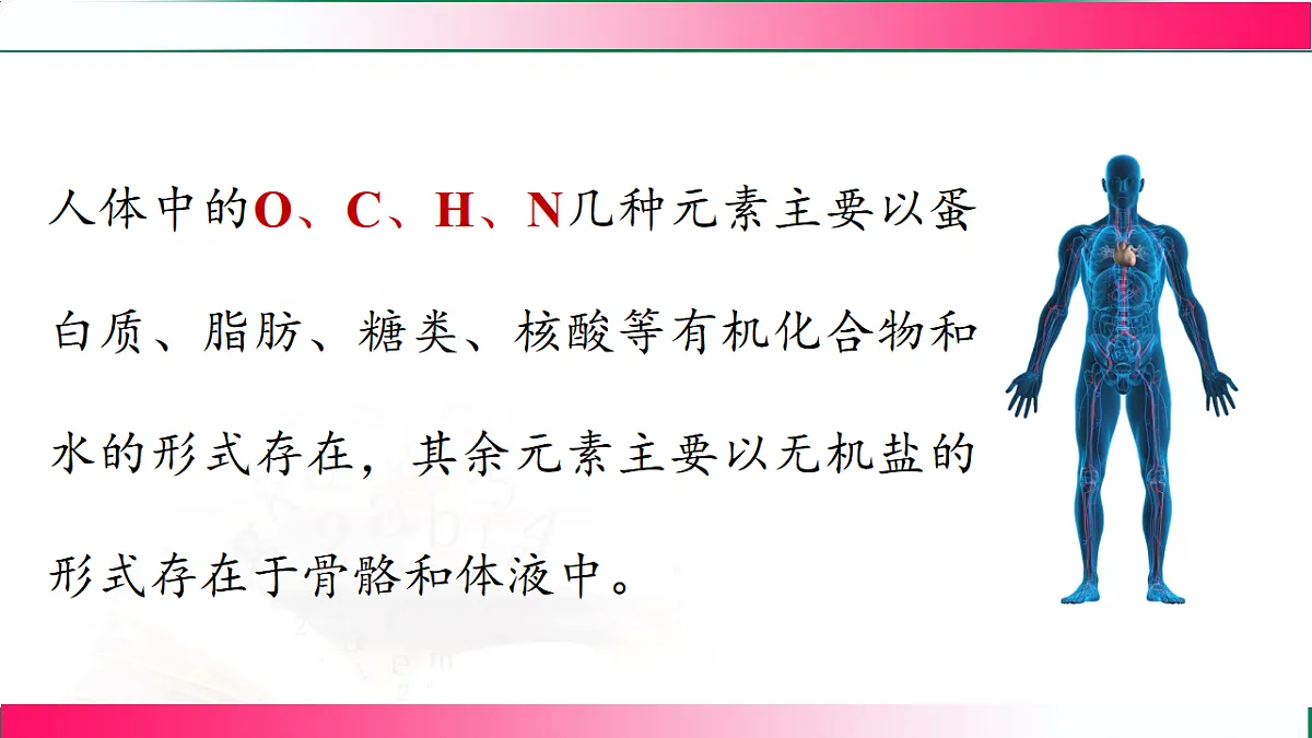 17810884第6页