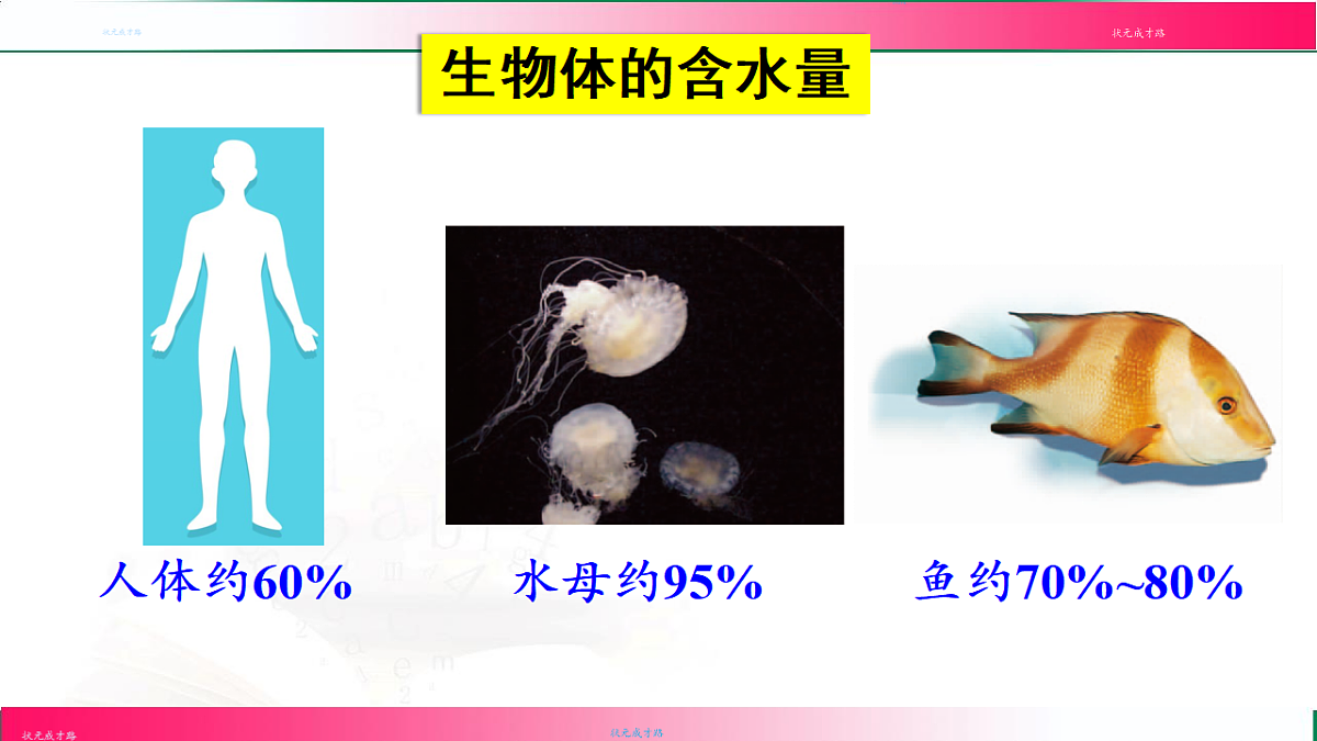 17810901第6页