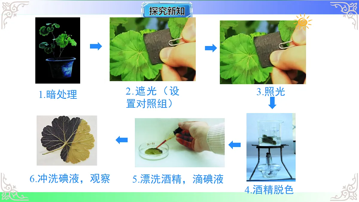 17810936第5页