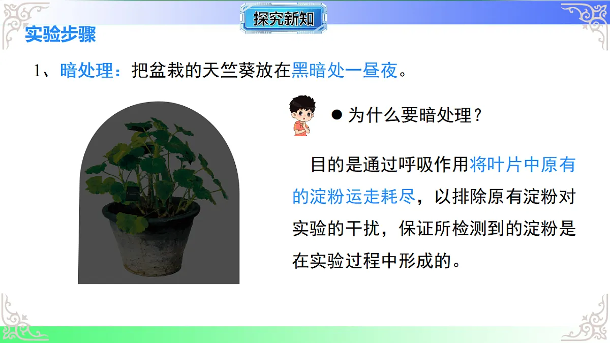 17810936第6页