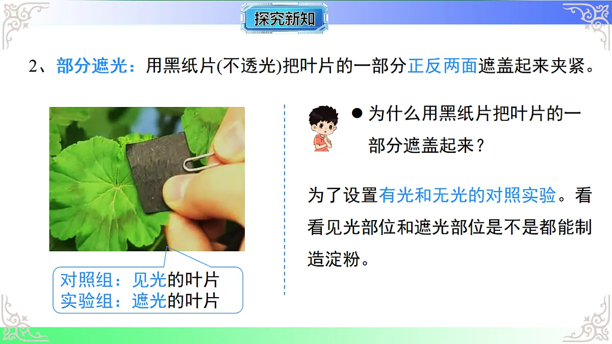 17810936第7页