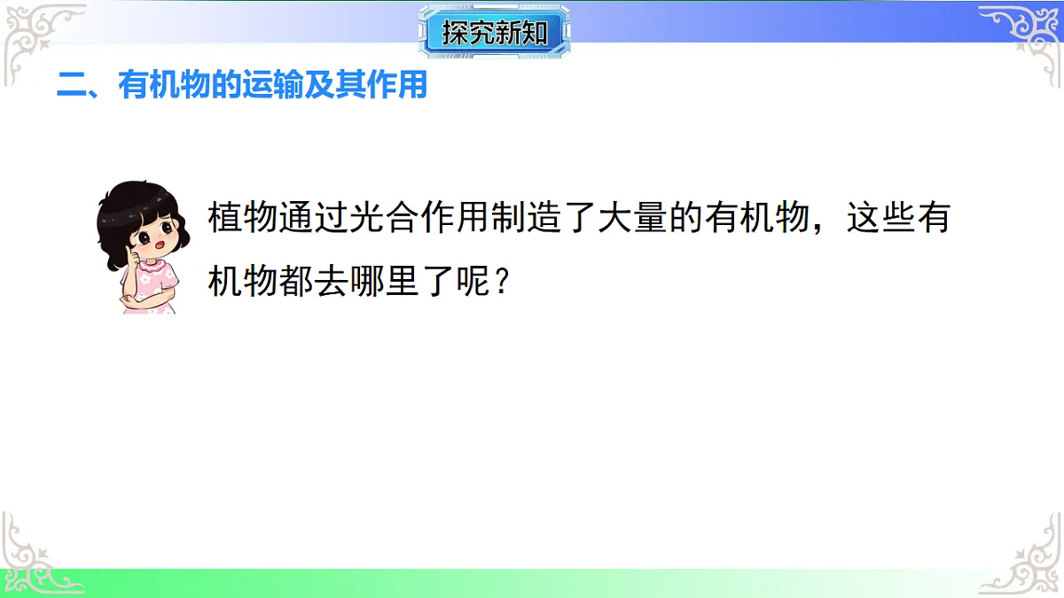 17810937第5页