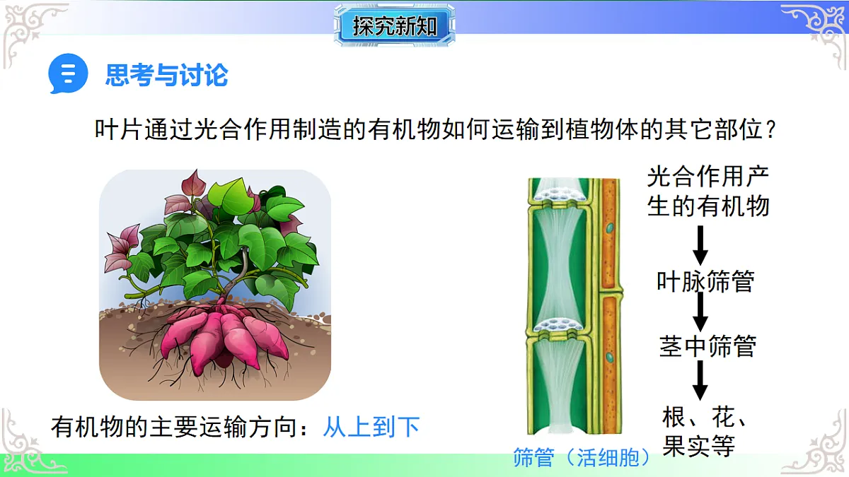 17810937第7页