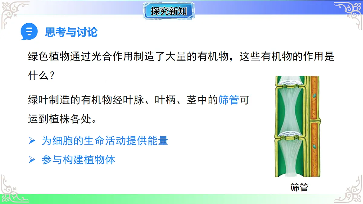 17810937第8页