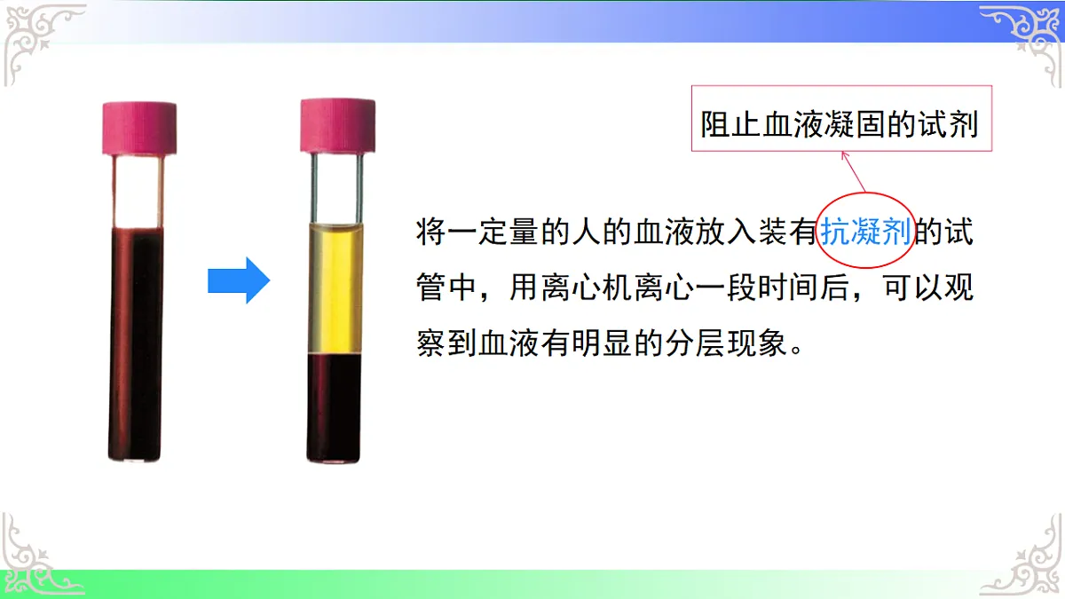 17810945第4页