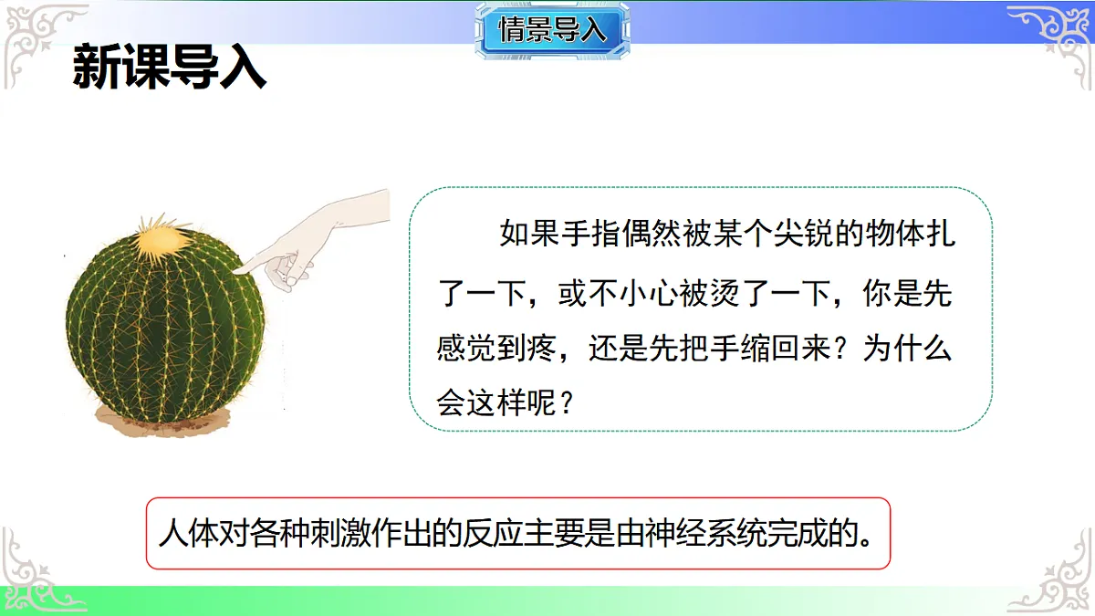 17810948第2页