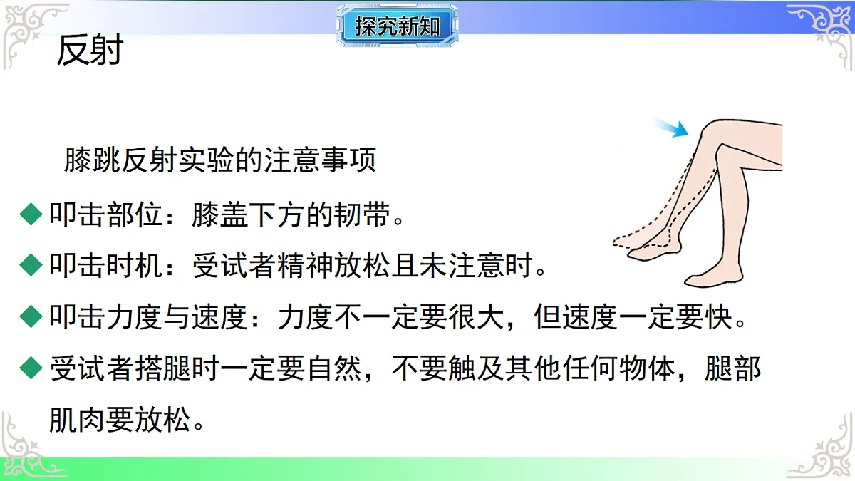 17810948第4页