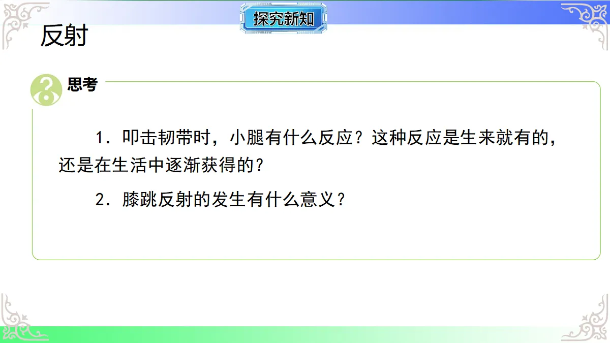 17810948第5页