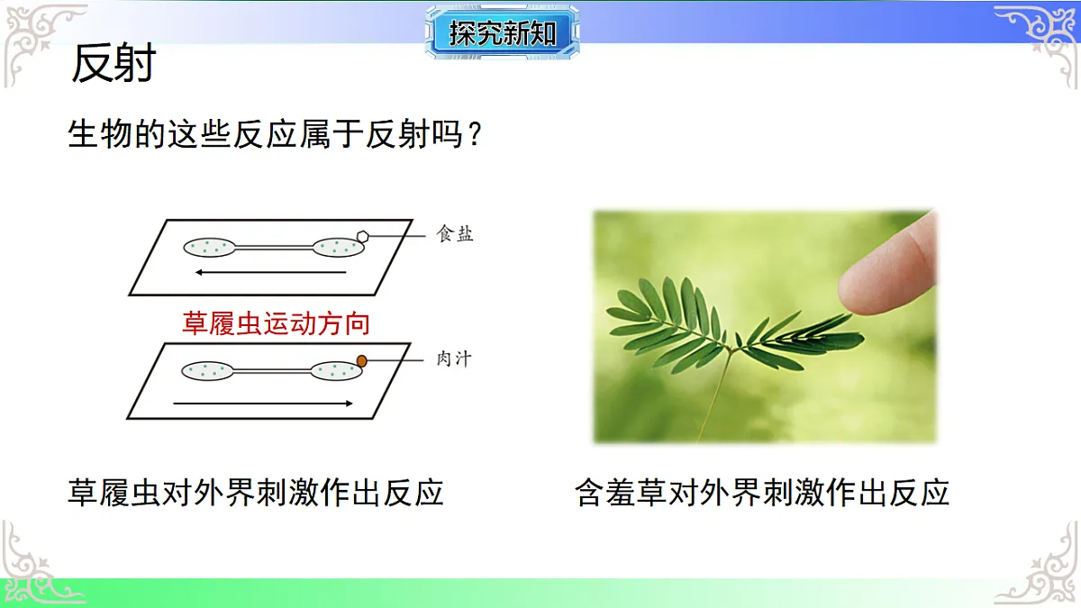17810948第7页