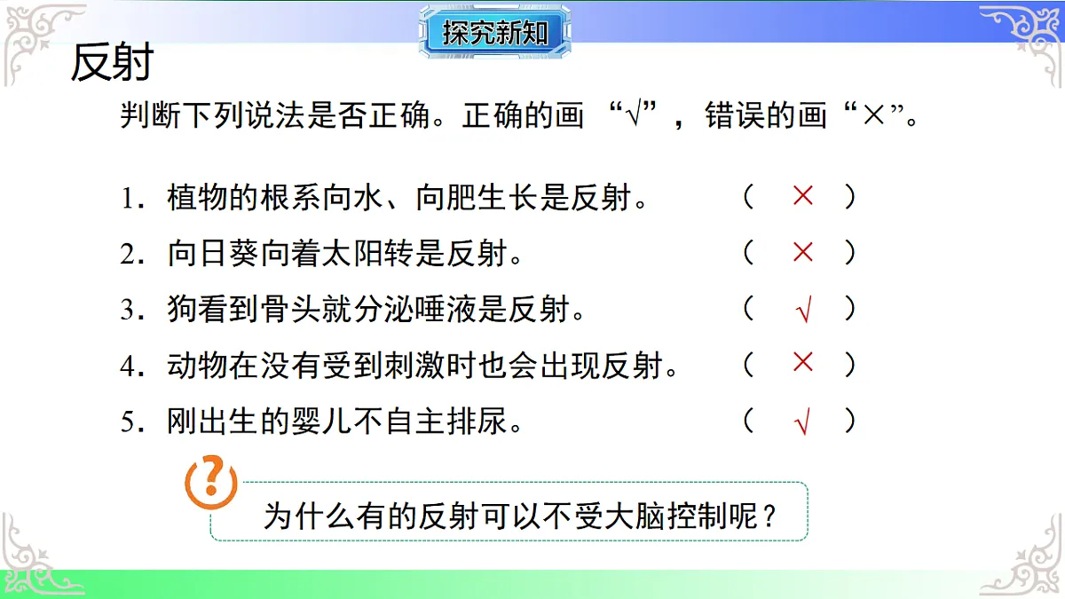 17810948第8页