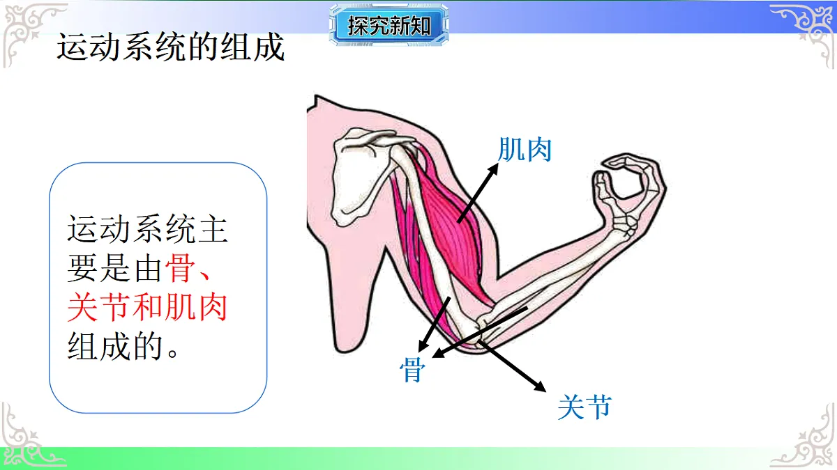 17810949第2页