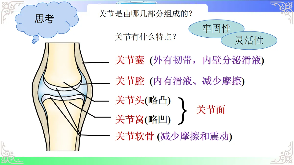 17810949第3页