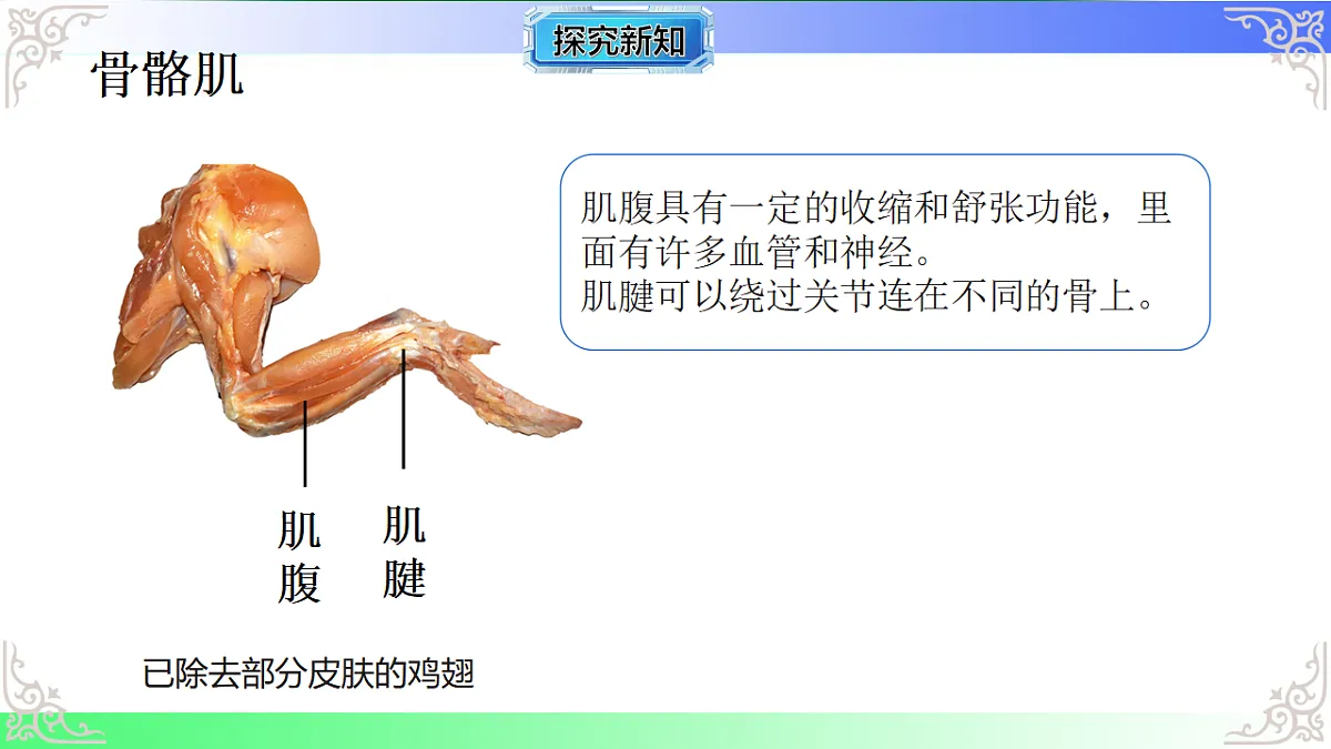 17810949第4页