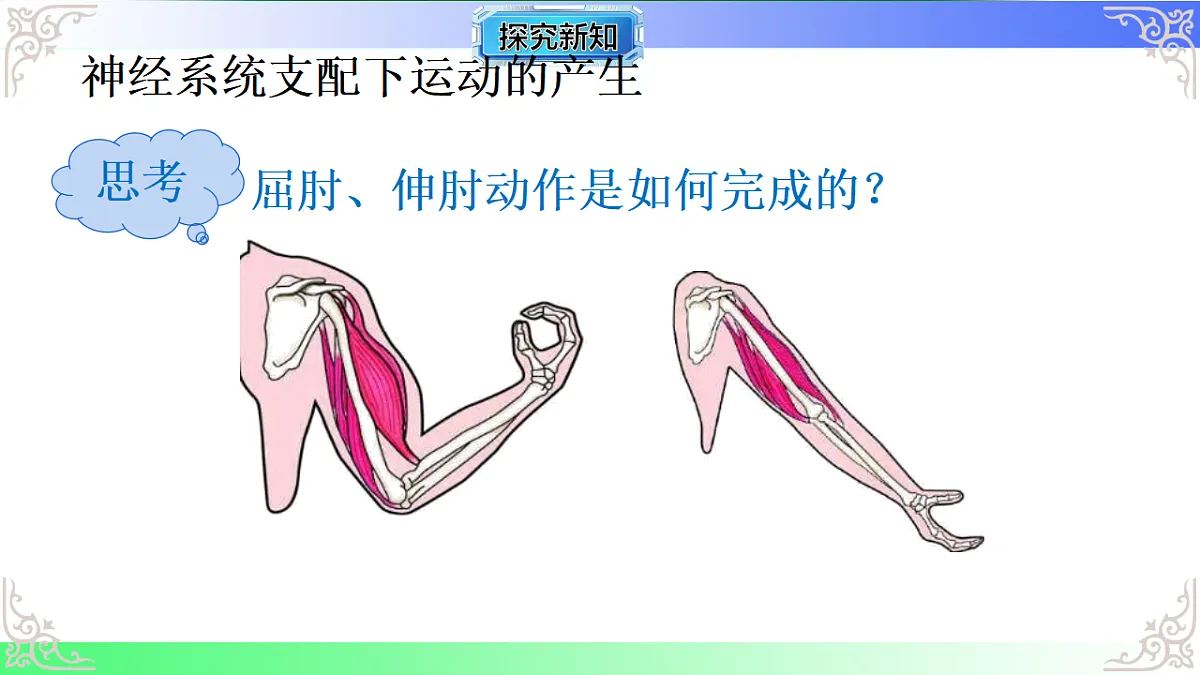 17810949第6页