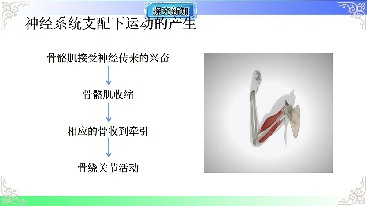 17810949第7页