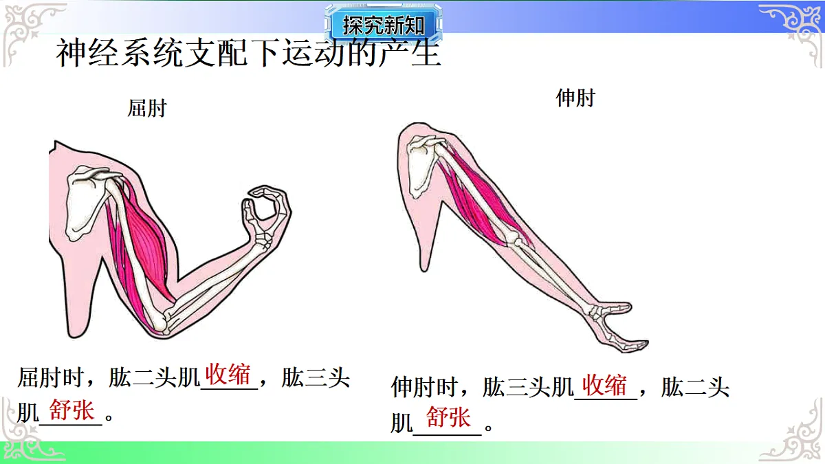 17810949第8页