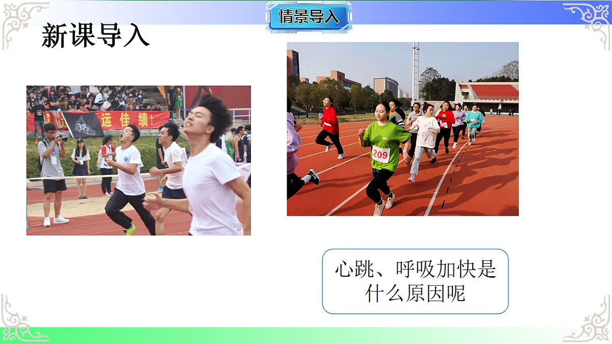 17810950第2页
