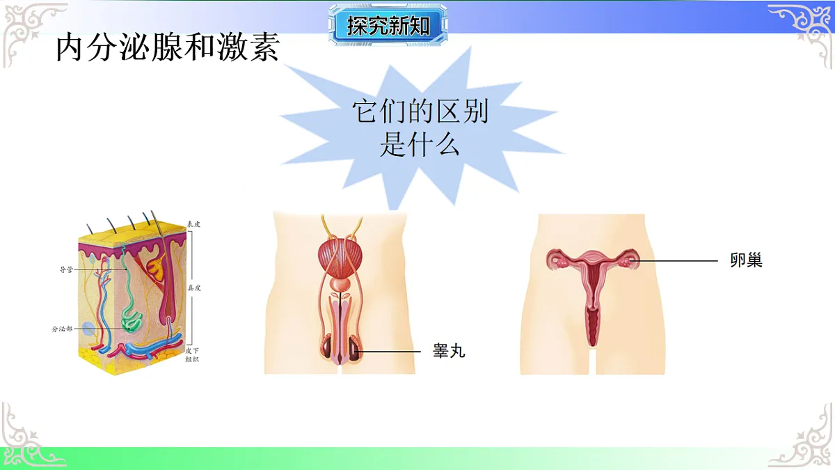 17810950第3页