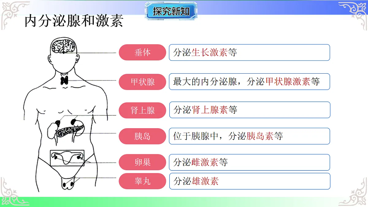 17810950第5页