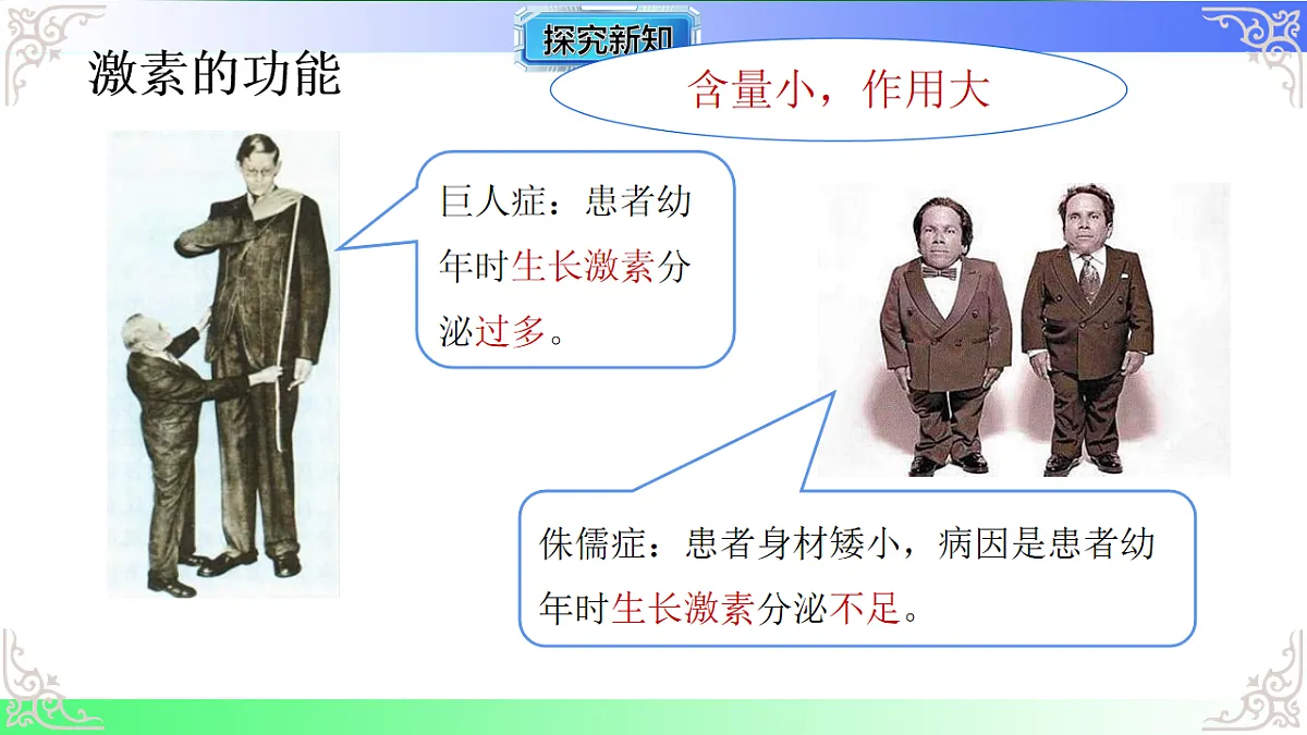 17810950第6页