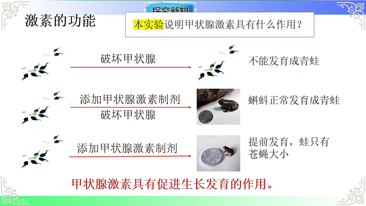 17810950第8页