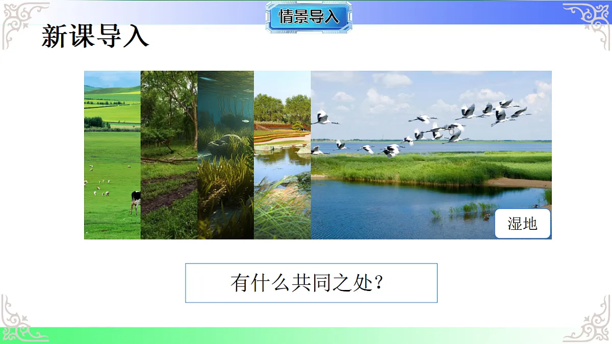 17810955第2页