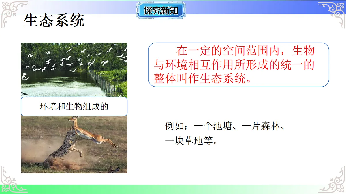 17810955第3页