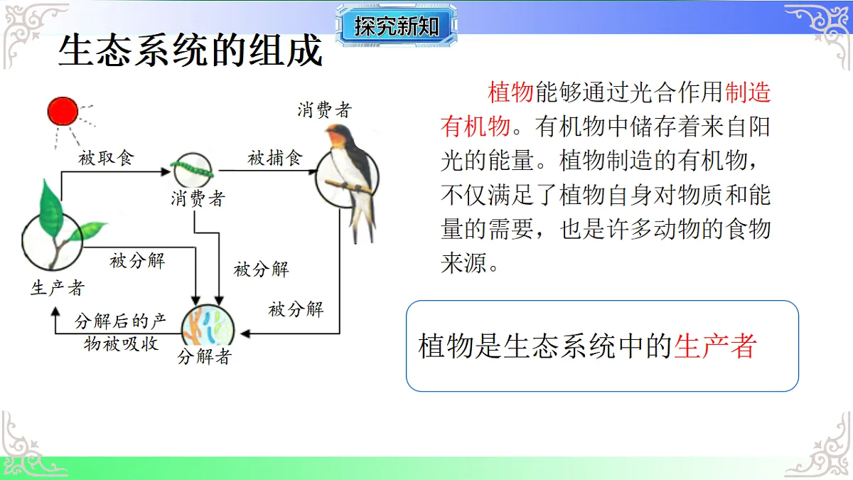 17810955第5页