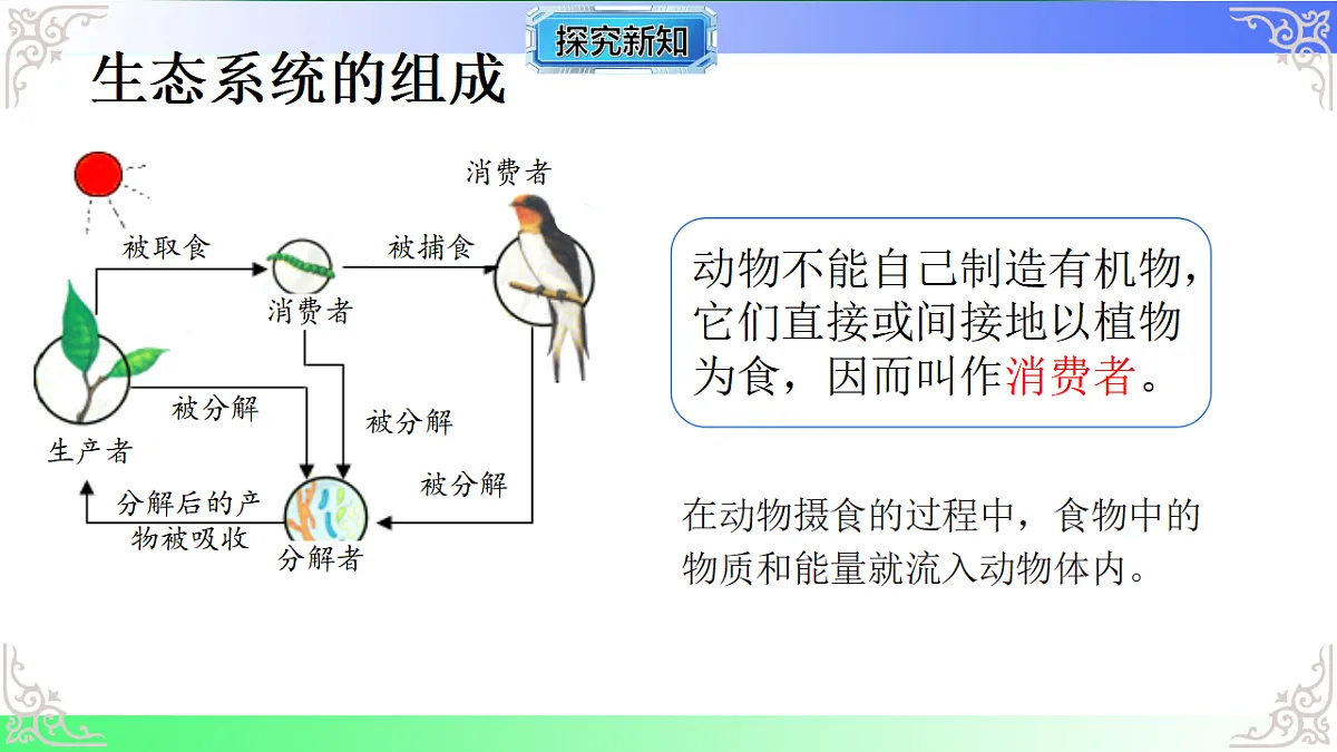 17810955第6页