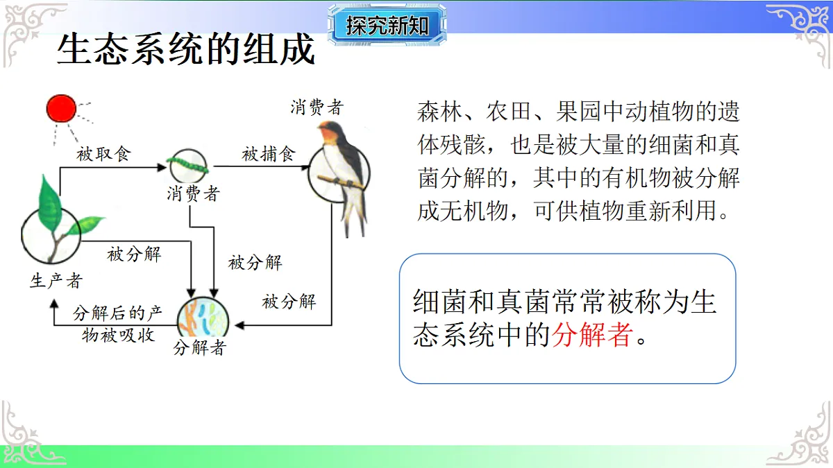 17810955第7页