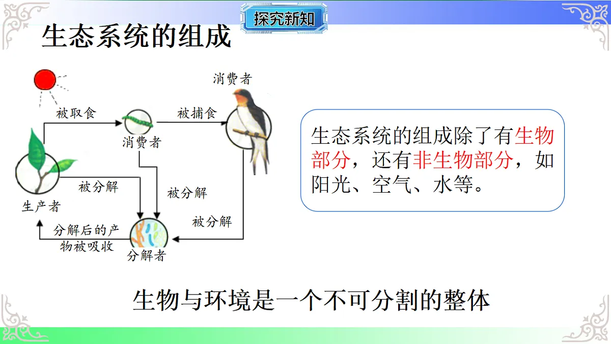 17810955第8页
