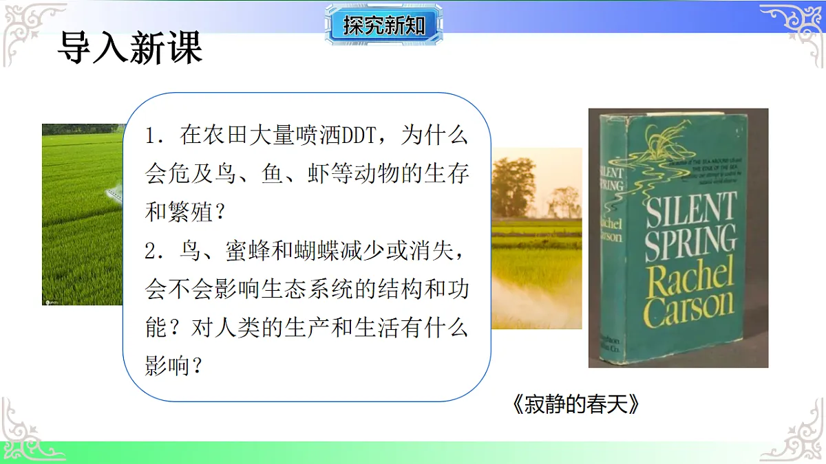 17810957第4页