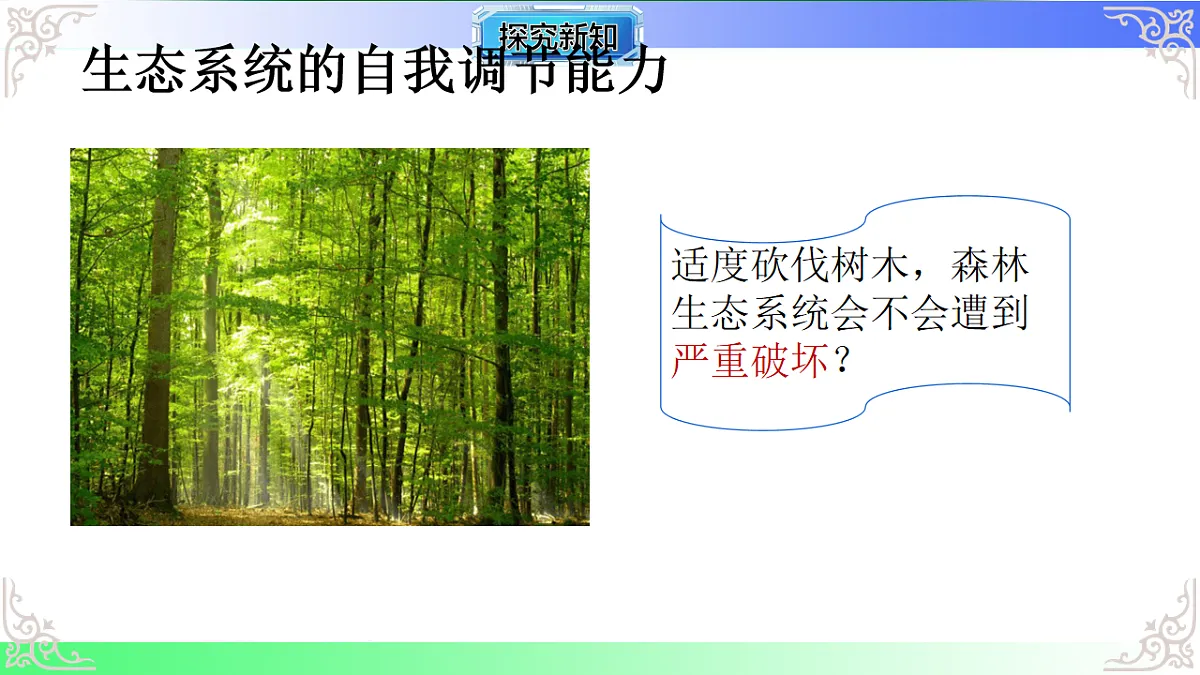 17810957第8页
