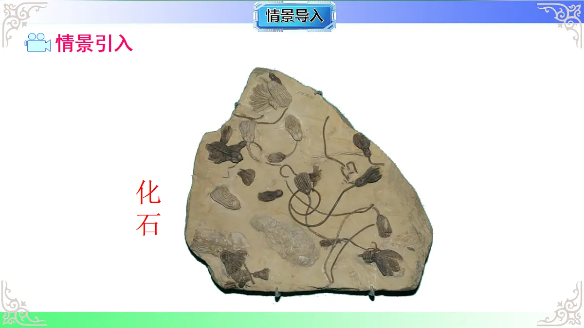 17810972第2页
