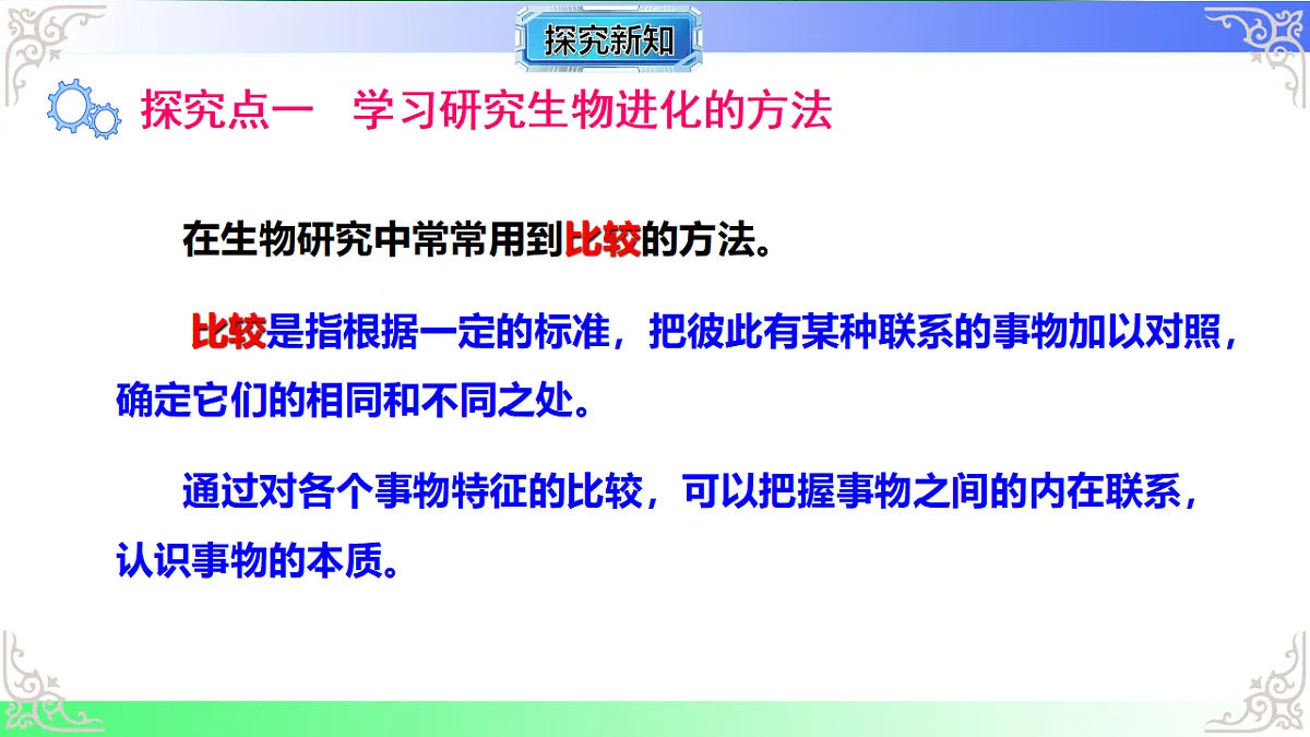 17810972第3页