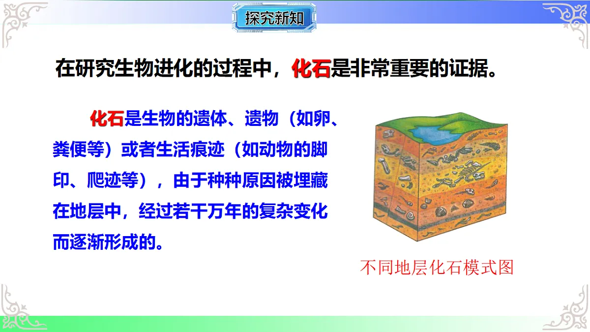 17810972第4页