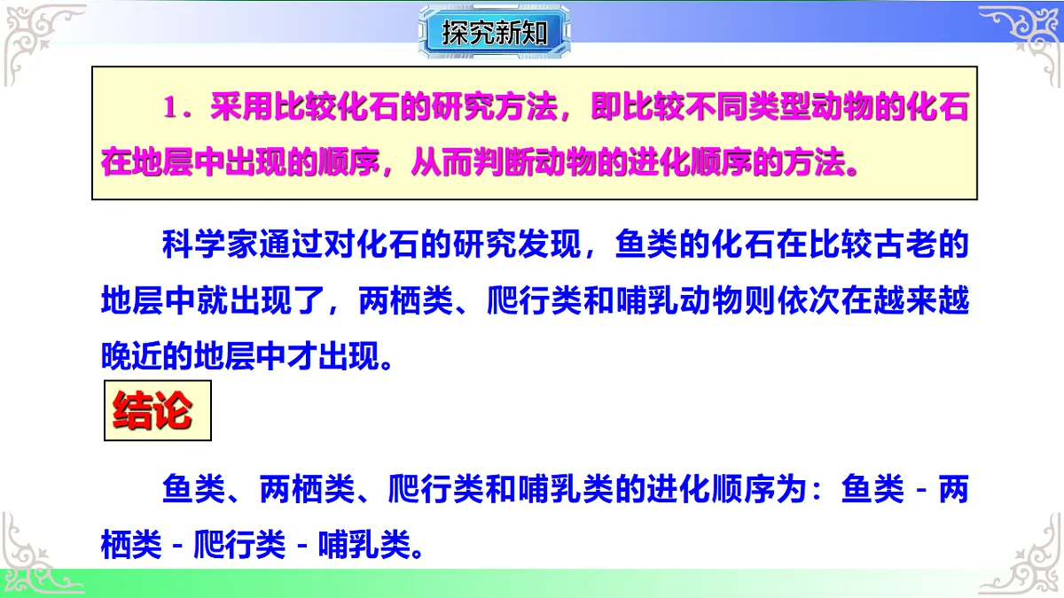 17810972第5页