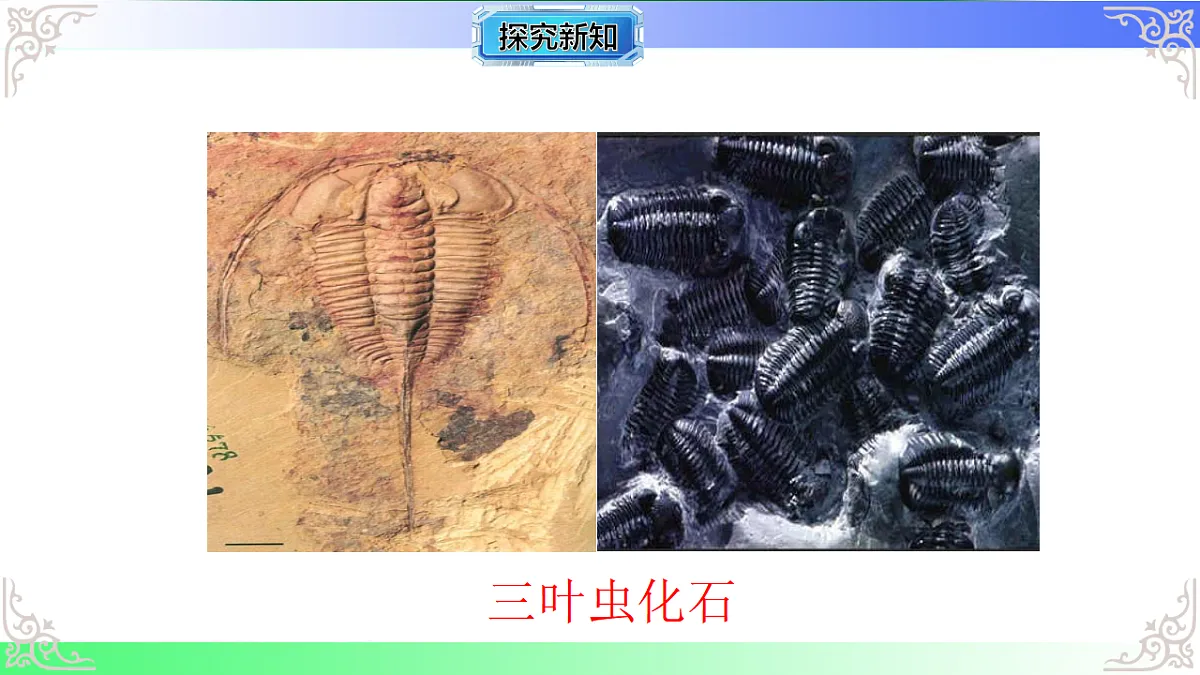 17810972第6页