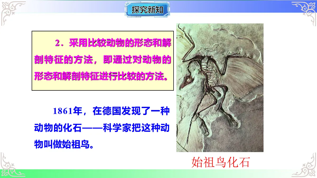17810972第7页