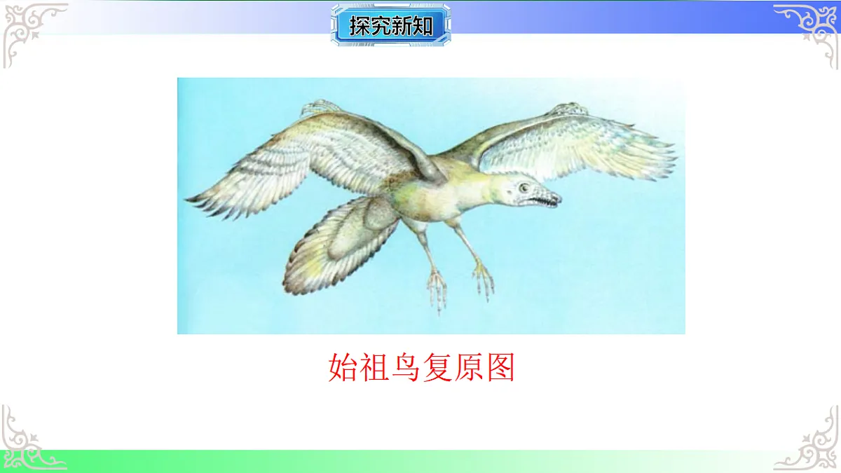 17810972第8页