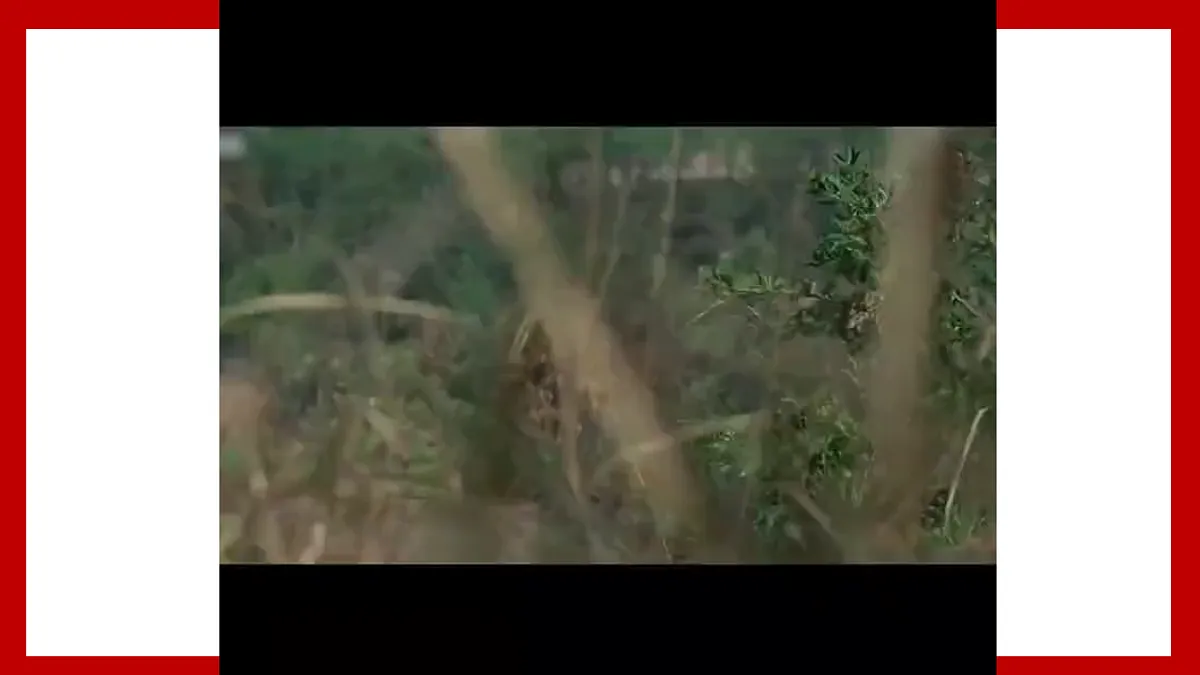 17810988第6页