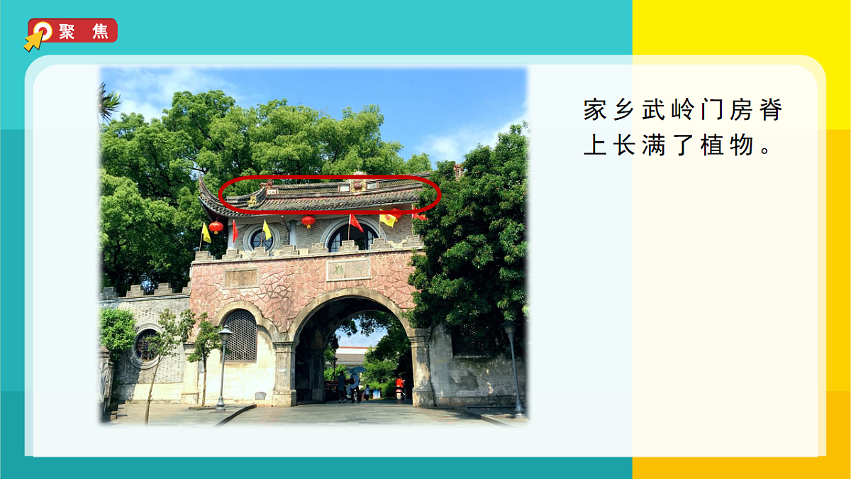7.种子的传播第2页