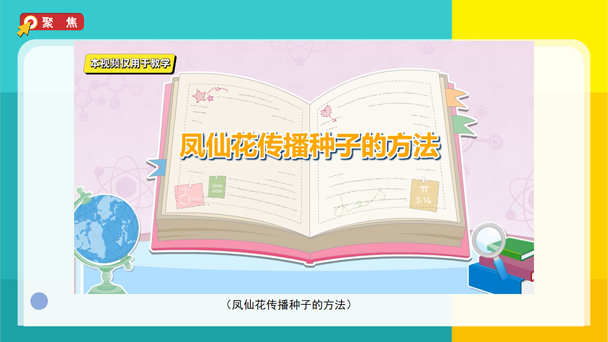7.种子的传播第3页