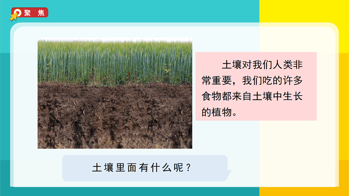 6.观察土壤第2页