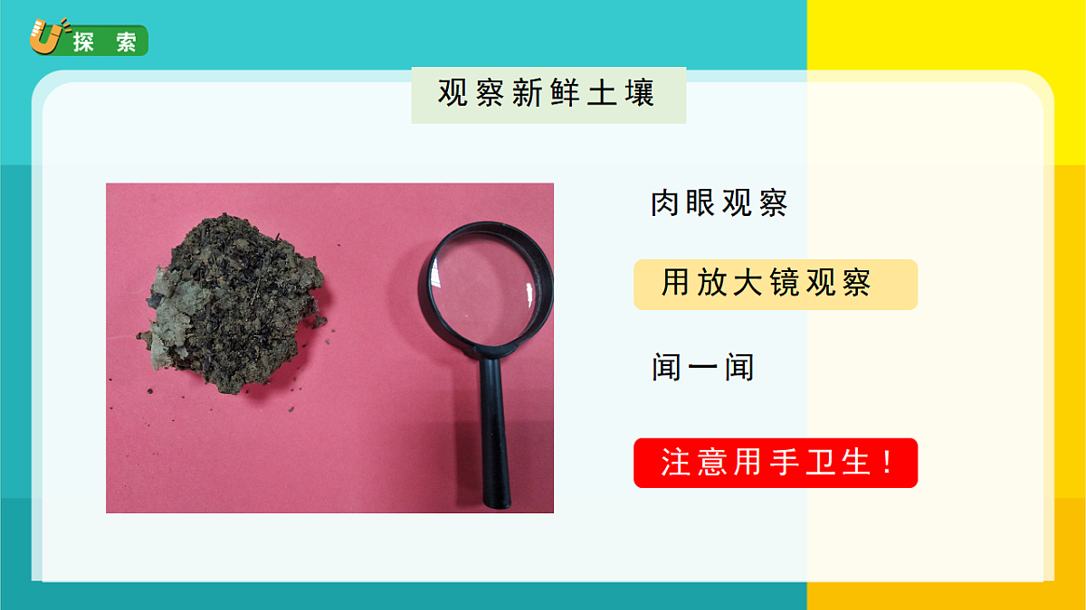 6.观察土壤第3页